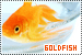  Goldfish: 