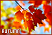  Autumn/Fall: 