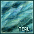  Teal